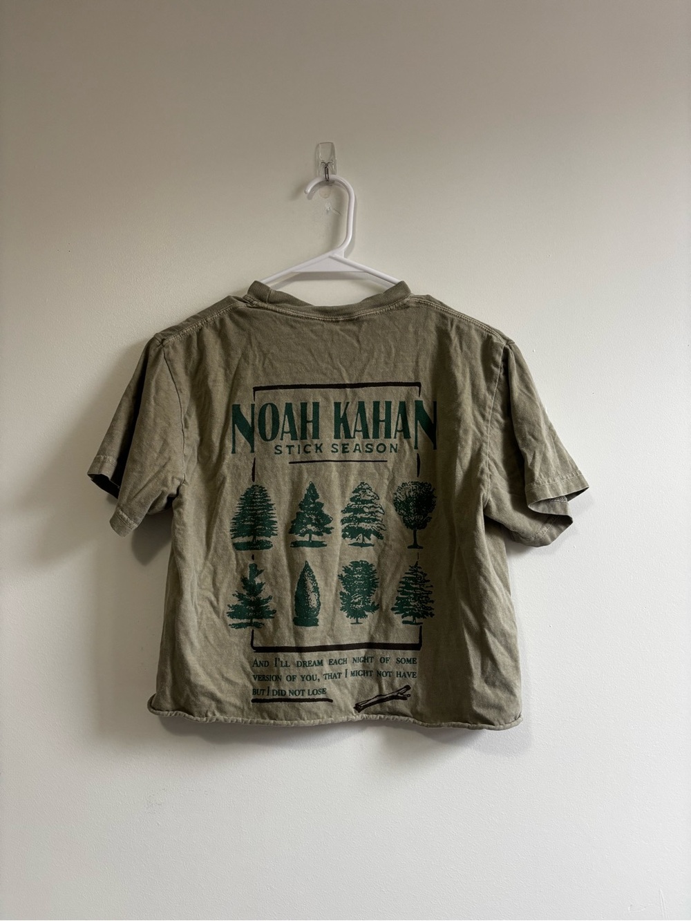 Olive Green Graphic Tee - Stick Season Noah Kahan Cropped